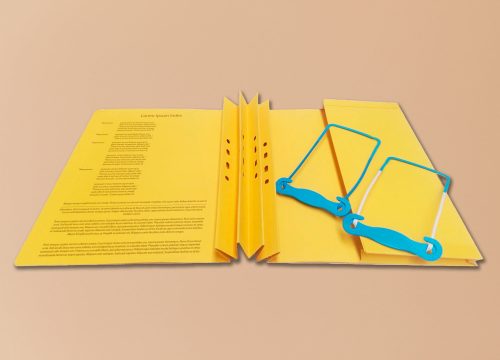 nhs folder